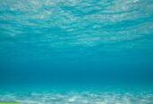 Relax, vacaciones en las playas del caribe
