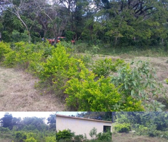 En un Terreno Paradisiaco como este es que le gustaria Construir su proyecto? Leer mas..