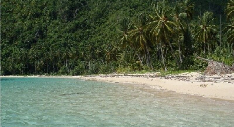 Terrenos lineales a la playa, las terrenas!