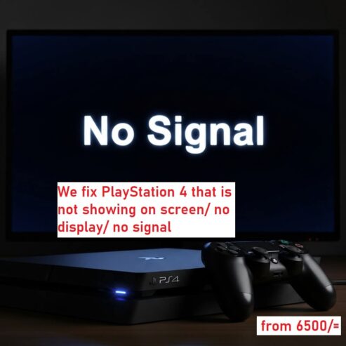 Ps4 not showing on screen