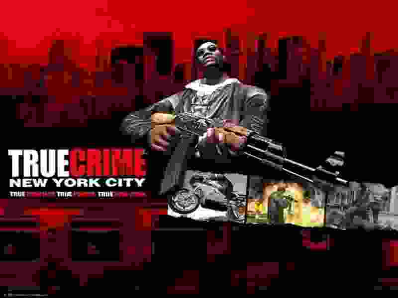 TRUE CRIME New York Laptop Desktop Computer Game