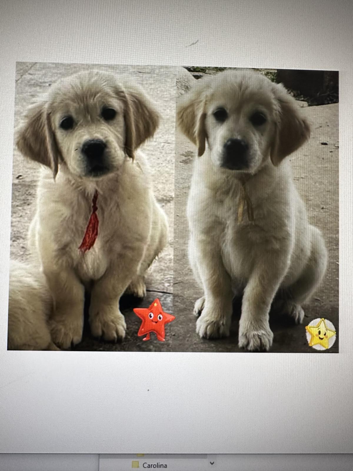 Golden Sanitacteamday