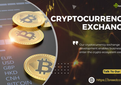 Cryptocurrency-Exchange-1