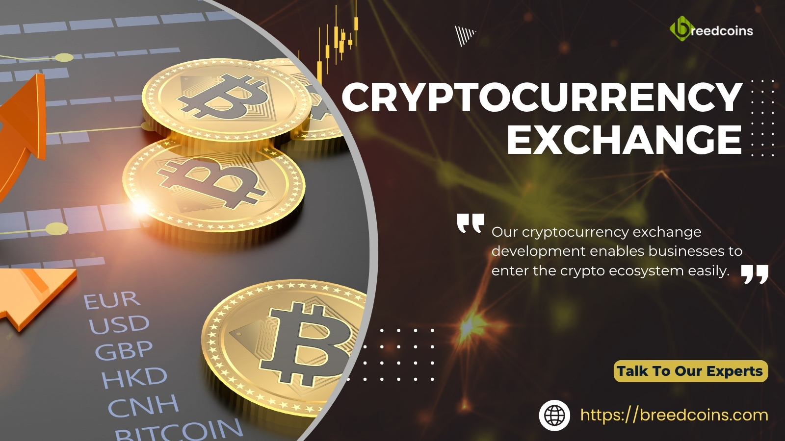 Searching for a Reliable Cryptocurrency Exchange Development Partner in the USA? Try BreedCoins!