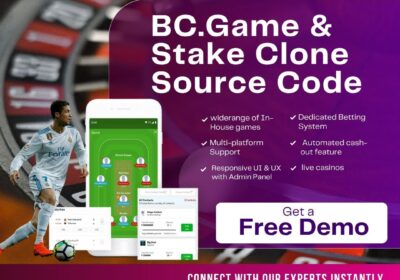 Dappsfirm-BC.Game-Stake-Clone-Source-Code