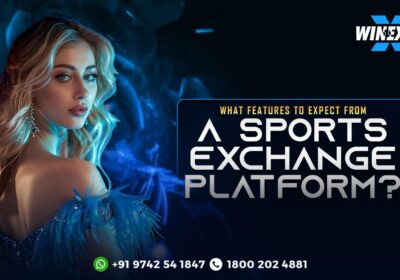 Winexch-mobile-in-play-prediction