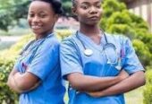 College of Nursing Sciences, Uburu 2025/2026 [07076026905] Admission Form is STILL ON SALE .