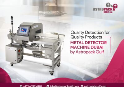 metal-detector-system