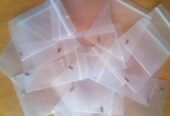 Magnetic heads for card readers, Thickness 0.5 mm, 140 Ohm
