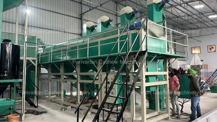 Cashew Processing Solutions for High-Quality Output & Greater Efficiency