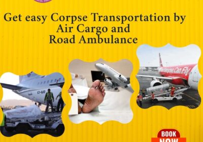 919667077396-www.panchmukhiairambulance.com-1