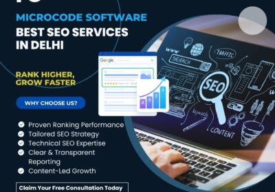 Best-seo-services-in-delhi