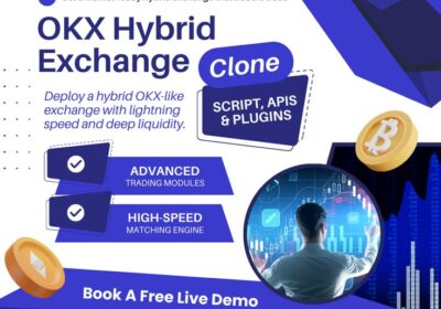 Build-a-High-ROI-Hybrid-Exchange-Like-OKX-in-10-Days