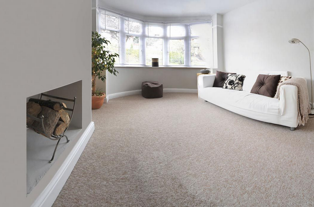 Melbourne Carpet Flooring | MCF | Carpet Flooring | Hybrid | Timber