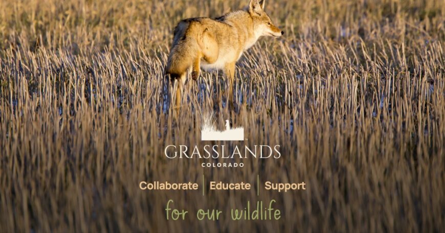 Grasslands Colorado