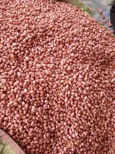 BUY IN BULK REFINE SUNFLOWER OIL , CASHEW NUTS SESAME SEEDS , USED COOKING OIL , COFFEE BEANS , SOYABEANS , SOYABEANS OIL , MAIZE,BEANS ETC Whatsapp +255769293122