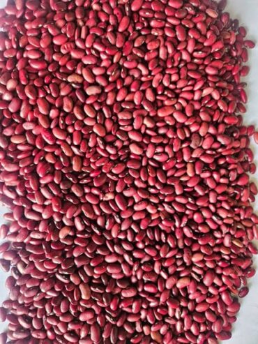 BUY IN BULK REFINE SUNFLOWER OIL , CASHEW NUTS SESAME SEEDS , USED COOKING OIL , COFFEE BEANS , SOYABEANS , SOYABEANS OIL , MAIZE,BEANS ETC Whatsapp +255769293122