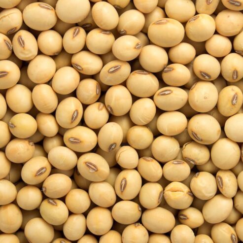 BUY IN BULK REFINE SUNFLOWER OIL , CASHEW NUTS SESAME SEEDS , USED COOKING OIL , COFFEE BEANS , SOYABEANS , SOYABEANS OIL , MAIZE,BEANS ETC Whatsapp +255769293122