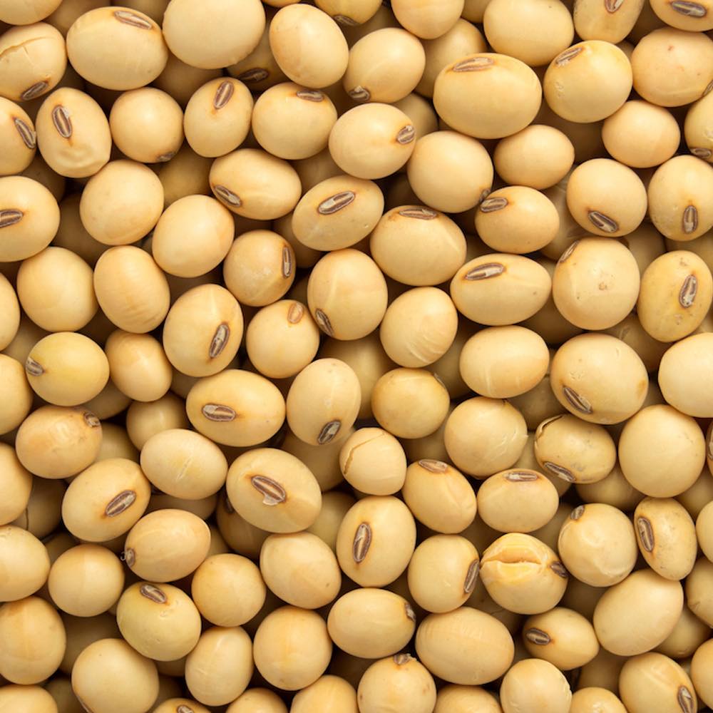 BUY IN BULK REFINE SUNFLOWER OIL , CASHEW NUTS SESAME SEEDS , USED COOKING OIL , COFFEE BEANS , SOYABEANS , SOYABEANS OIL , MAIZE,BEANS ETC Whatsapp +255769293122
