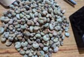 BUY IN BULK REFINE SUNFLOWER OIL , CASHEW NUTS SESAME SEEDS , USED COOKING OIL , COFFEE BEANS , SOYABEANS , SOYABEANS OIL , MAIZE,BEANS ETC Whatsapp +255769293122