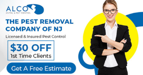 Bird-Control-in-Jersey-City-NJ