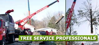 Tree-Removal-Cost-MORRIS-County-NJ