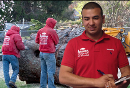 tree-cutting-in-Bergen-County-NJ