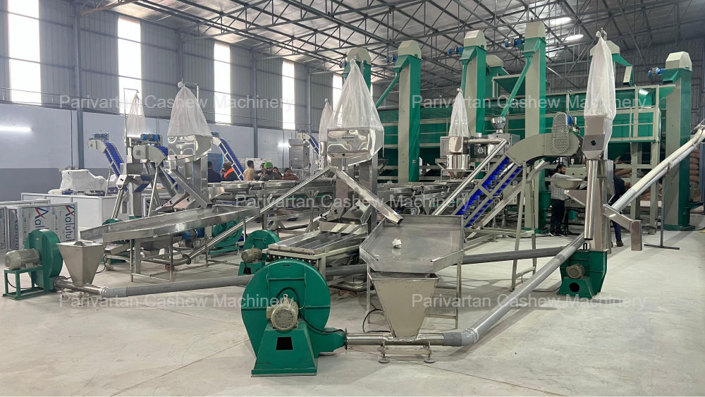 Fully Automatic Cashew Processing Machine in India