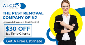 Commercial-Pest-Control-Bergen-County-NJ