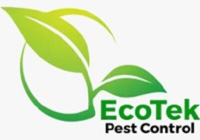 Logo-4