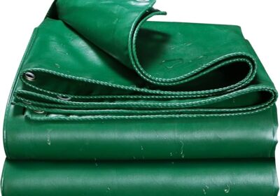 61Ma9cklSL._AC_UF8941000_QL80_-1