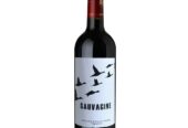Top Wine Deals Under $15: Quality Finds at ShopSk