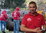 Stump-Removal-in-NJ