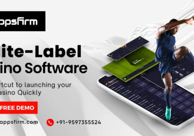 White-Label-casino-script-blog