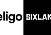 SixLakes Consulting