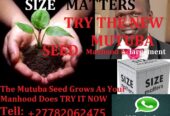 Mutuba Seed +27670609427 AUSTRALIA , NAMIBIA ,BOTSWANA , SINGAPORE ,ZAMBIA MUTUBA SEED FOR PENIS ENLARGEMENT CREAM AND PILLS +27670609427 AUSTRALIA , NAMIBIA ,BOTSWANA ,