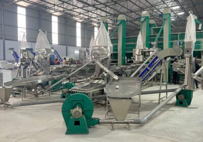 2-Cashew-Processing-Machine-Exporter