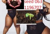 PENIS ENLARGEMENT CREAM AND PILLS +27670609427 AUSTRALIA , NAMIBIA ,BOTSWANA , SINGAPORE ,ZAMBIA MUTUBA SEED FOR PENIS ENLARGEMENT CREAM AND PILLS +27670609427 AUSTRALIA , NAMIBIA ,BOTSWANA , SINGAPORE ,ZAMBIA Natural