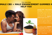 MUTUBA SEED AND OIL PENIS ENLARGEMENT +277 8522 8500 