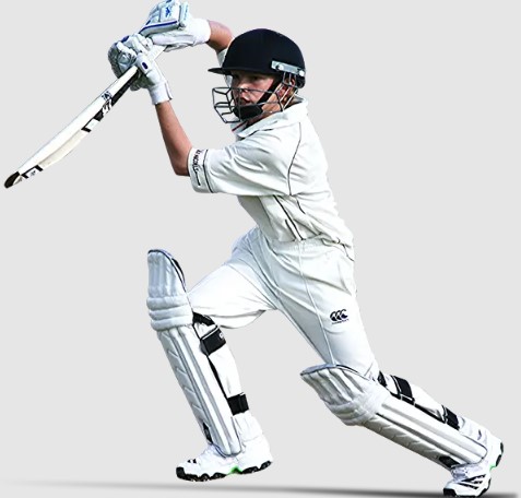 PlayinExch 365 Features That Elevate Your Daily Betting Game