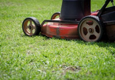 pexels-magda-ehlers-pexels-4162016