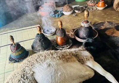 6f942f782b695ee112833c364a615e7d