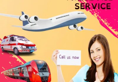 Use-End-to-End-Patient-Care-Panchmukhi-Air-Ambulance