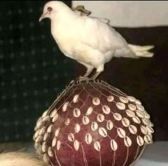 Banish Misfortune Lucky Protection Spell +27730651163