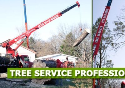 imgi_1_bn_tree_removal