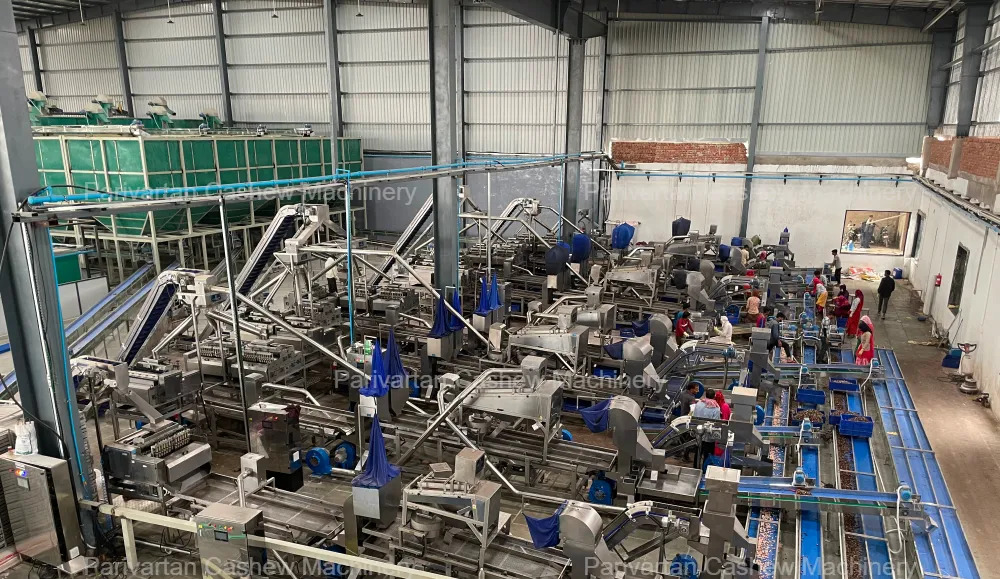 Cashew Nut Processing Machine | Cashew Processing Machinery