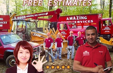 Trusted Tree Removal Company NJ Services