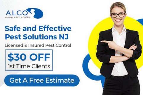 Safe and Effective Pest Solutions NJ – ALCO Animal & Pest Control