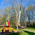 Tree-Maintenance-in-North-NJ