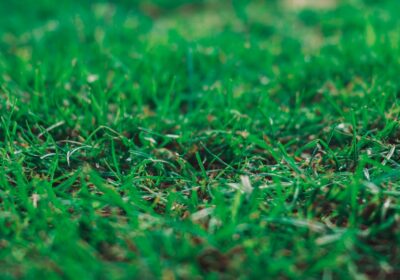 pexels-aj1-20921537-11900360